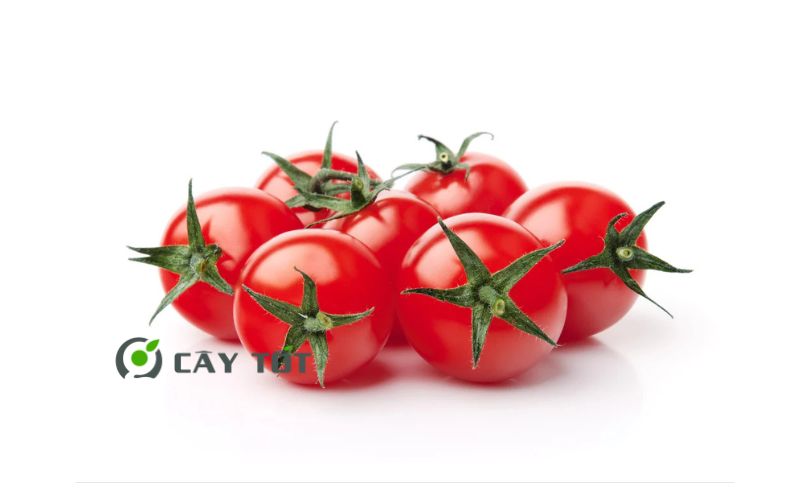Hạt Giống Cà Chua Cherry
