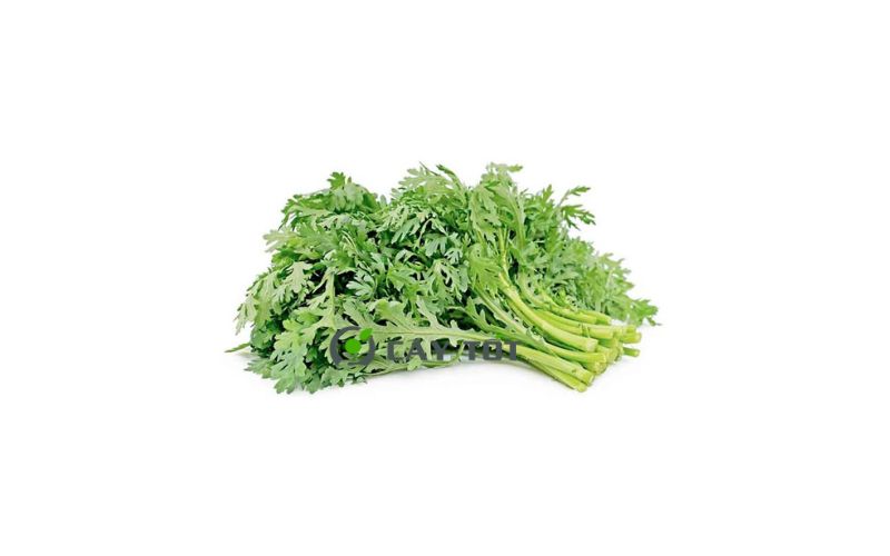 Hạt Giống Cải Cúc (Tần Ô)