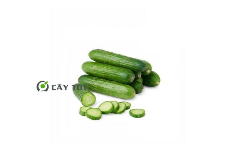 Hạt Giống Dưa Leo Không Hạt