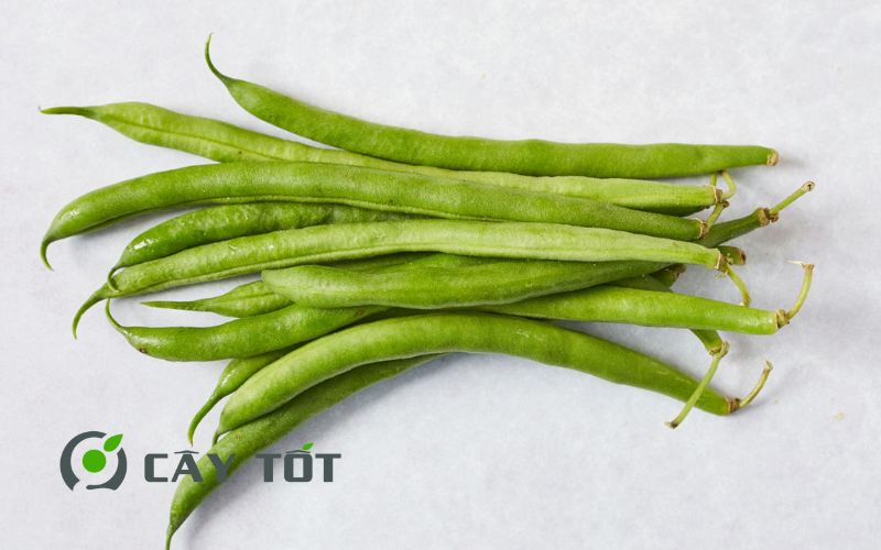 Hạt Giống Đậu Que