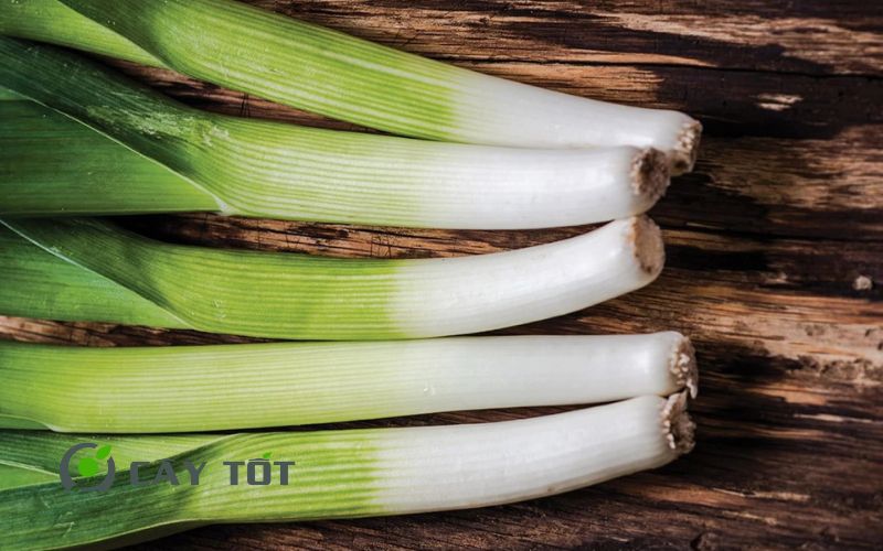 Hạt Giống Tỏi Tây