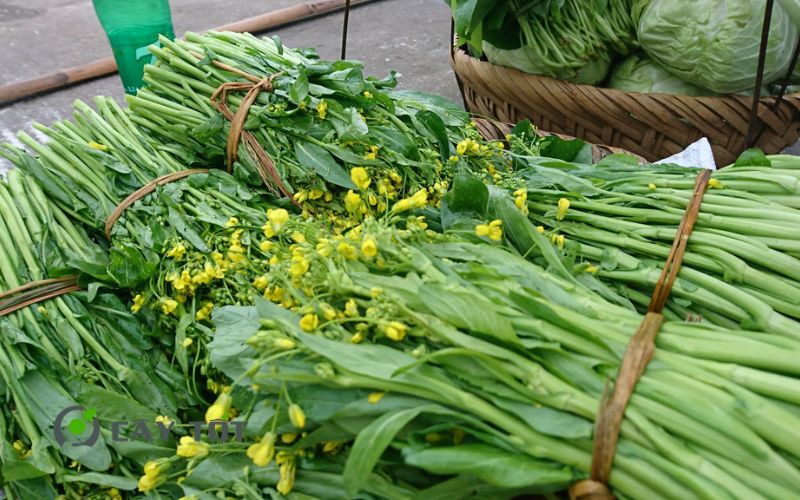 Hạt Giống Cải Ngồng