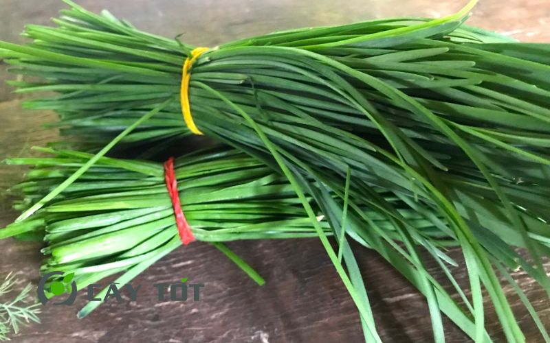 Hạt Giống Hẹ Cao Sản