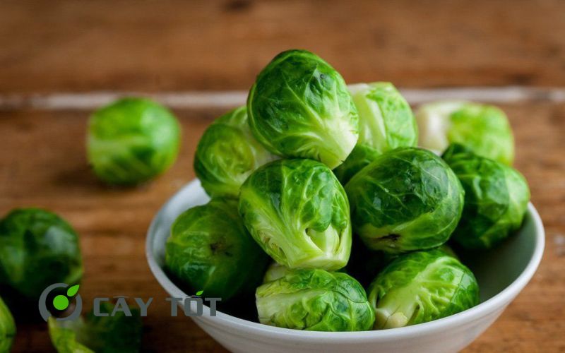 Hạt Giống Bắp Cải Mini