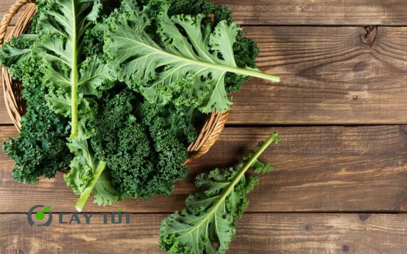 Hạt Giống Cải Xoăn Kale