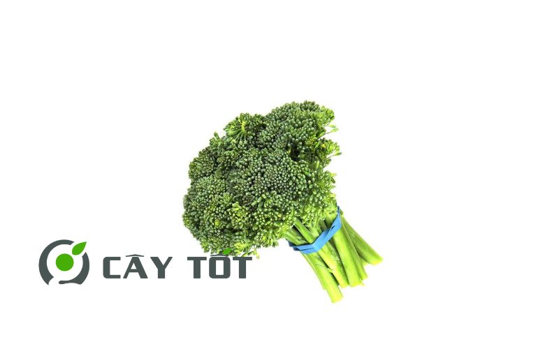 Hạt Giống Bông Cải Baby