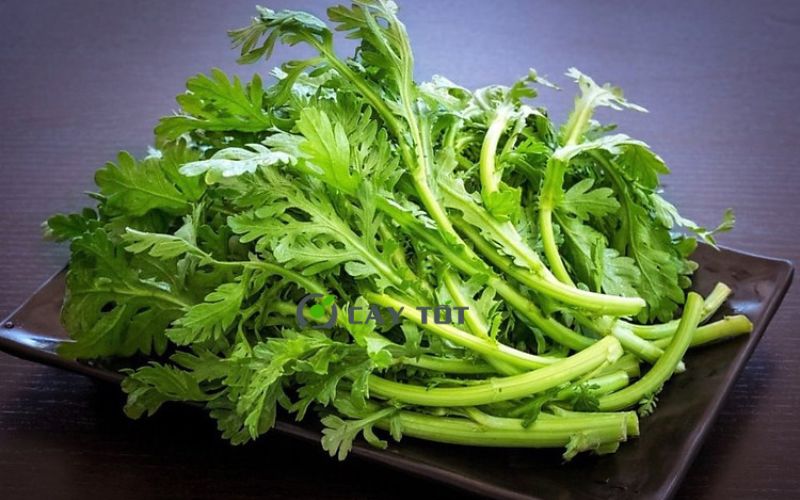 Hạt Giống Cải Cúc (Tần Ô)