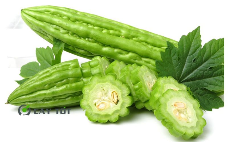 Hạt Giống Khổ Qua