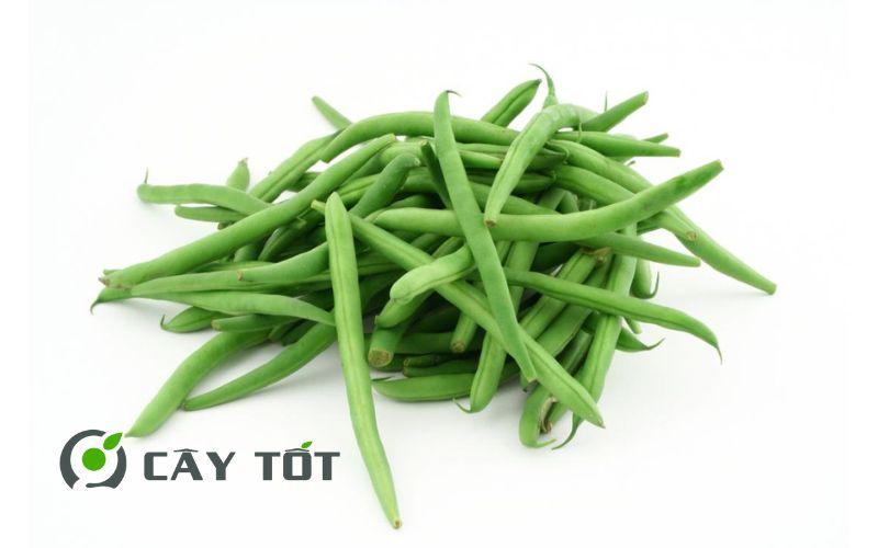 Hạt Giống Đậu Que