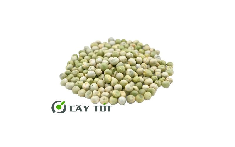 Hạt Giống Đậu Hà Lan Leo