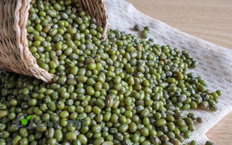Hạt Giống Đậu Xanh