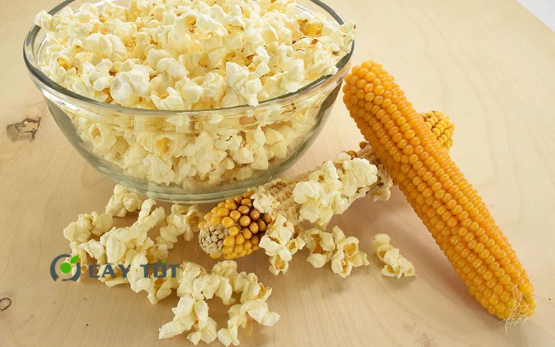 Hạt Giống Ngô Nổ