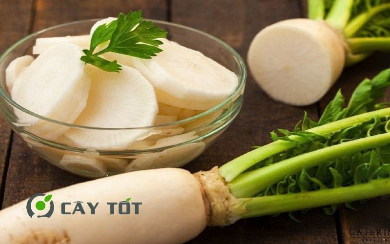 Hạt Giống Củ Cải Trắng