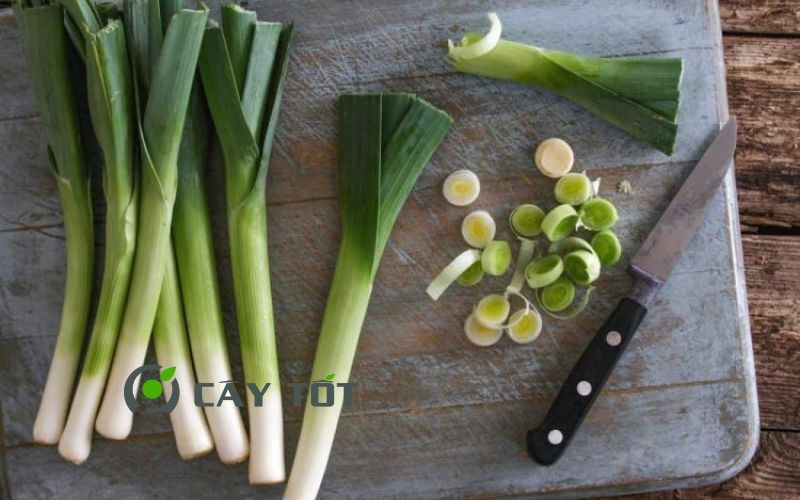 Hạt Giống Hành Baro