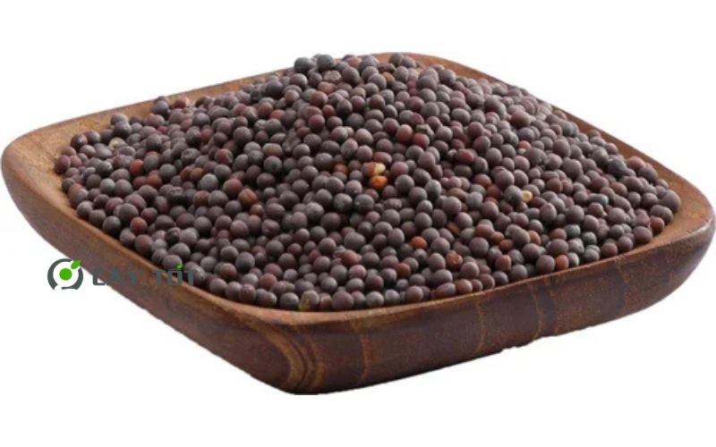 Hạt Giống Cải Xanh