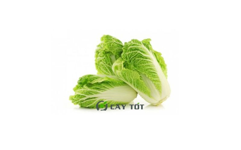 Hạt Giống Cải Bẹ Dún