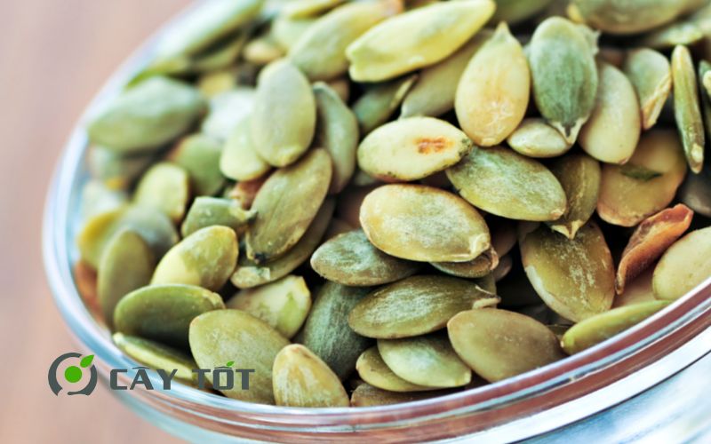 Hạt Giống Bí Rợ