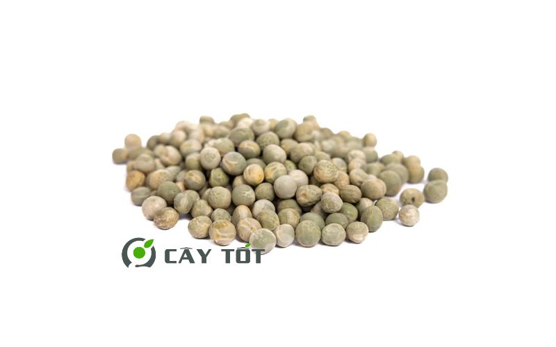 Hạt Giống Đậu Hà Lan Leo