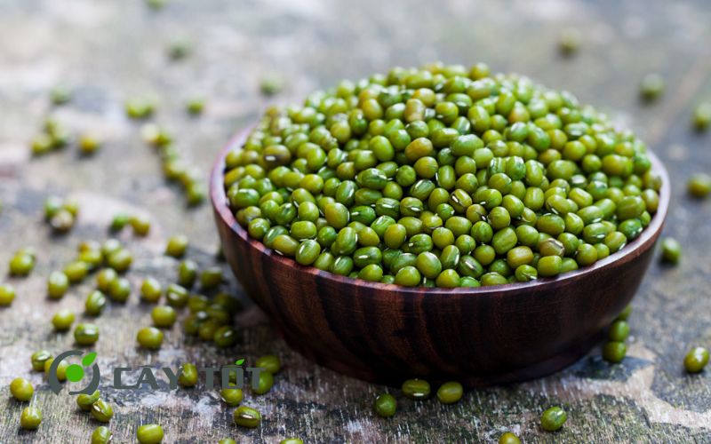 Hạt Giống Đậu Xanh