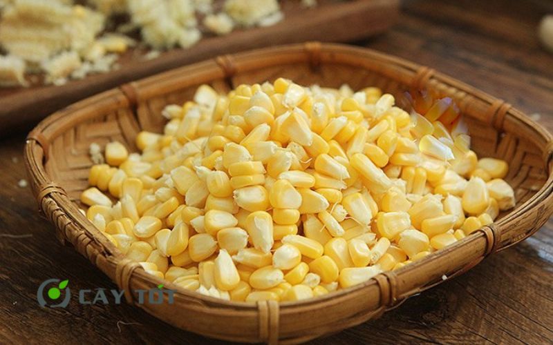 Hạt Giống Ngô Ngọt