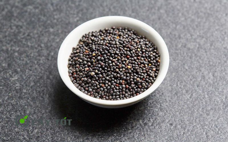 Hạt Giống Cải Thảo