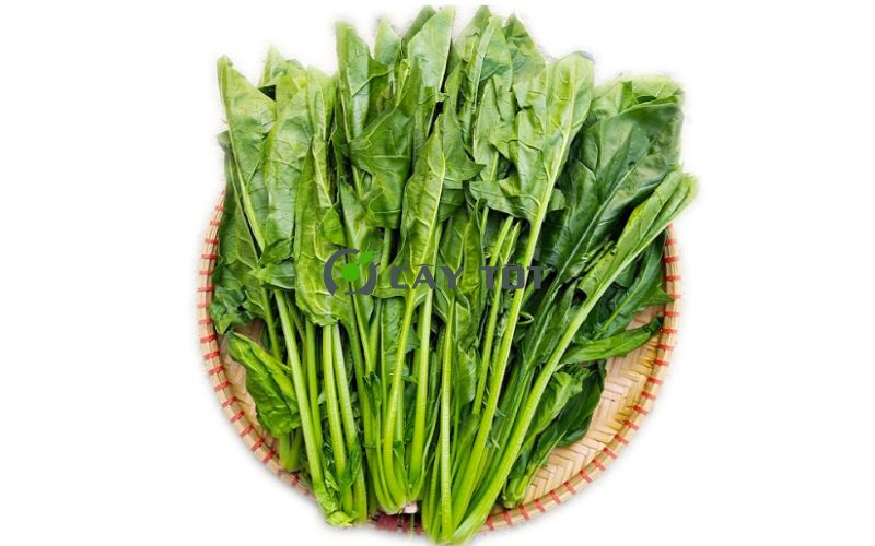 Hạt Giống Cải Bó Xôi