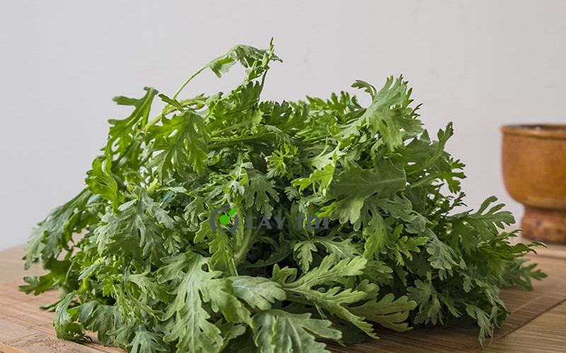 Hạt Giống Cải Cúc (Tần Ô)