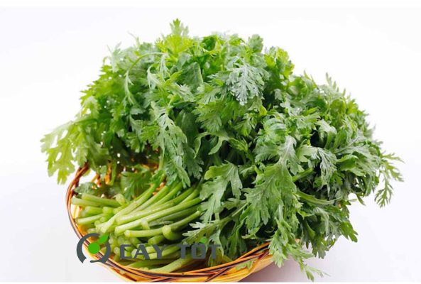 Hạt Giống Cải Cúc (Tần Ô)