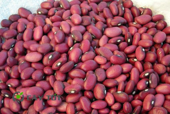 Hạt Giống Đậu Ván