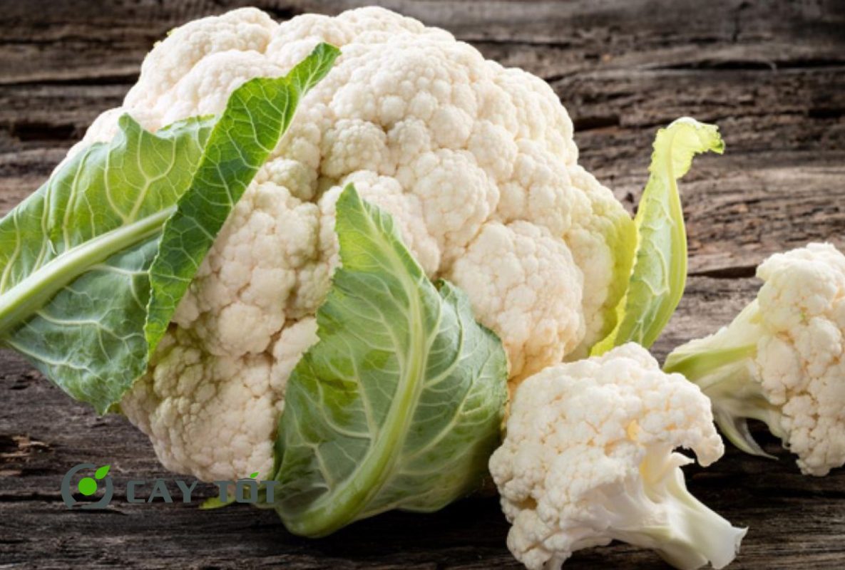 Hạt Giống Súp Lơ Trắng