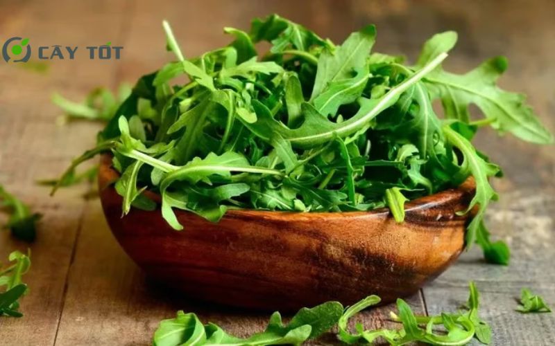 Hạt Giống Rau Cải Lông