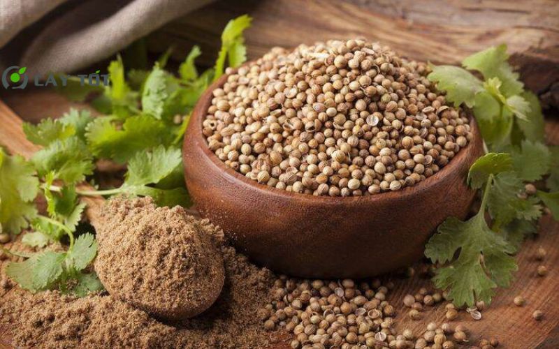 Hạt Giống Rau Mùi Ta