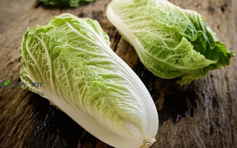 Hạt Giống Cải Thảo Hàn Quốc