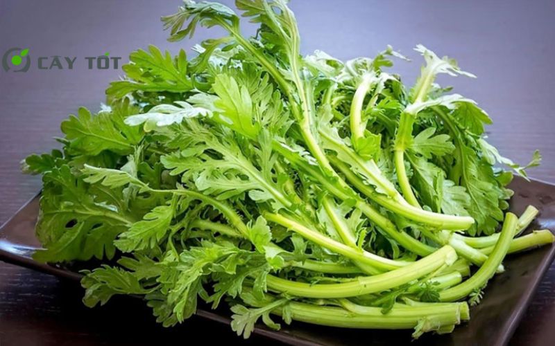 Hạt Giống Cải Cúc Đà Lạt