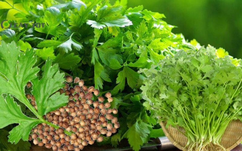 Hạt Giống Rau Mùi Nhật