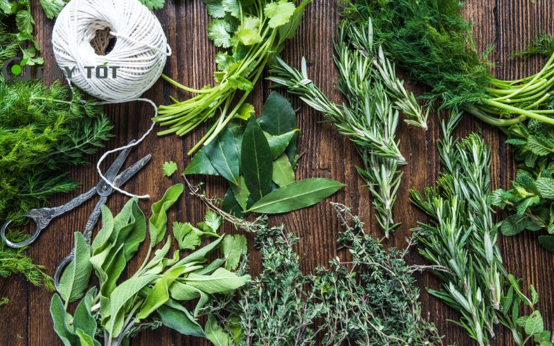 Hạt Giống Rau Thơm Tổng Hợp F1