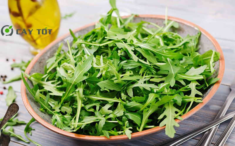 Hạt Giống Rau Cải Lông