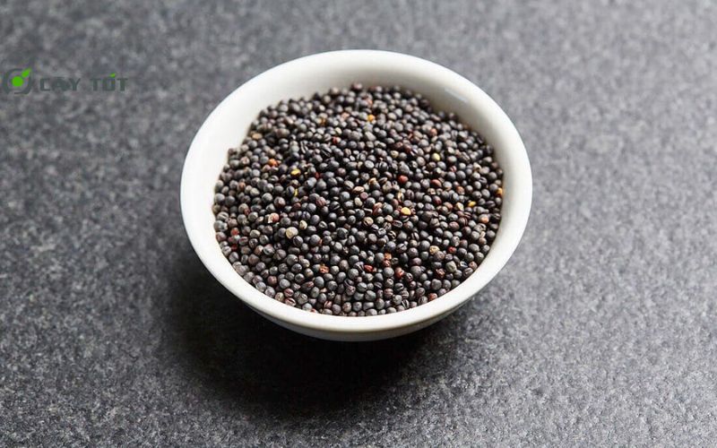 Hạt Giống Cải Cúc Thái