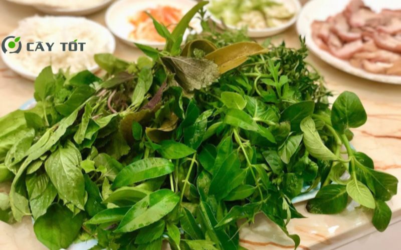 Hạt Giống Rau Rừng