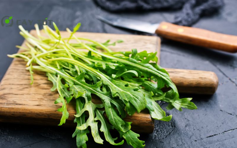 Hạt Giống Rau Cải Lông