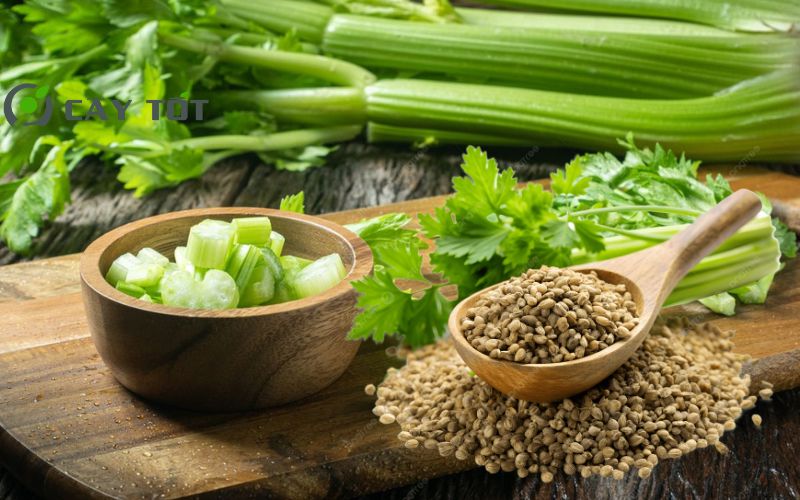 Hạt Giống Rau Cần Thơm