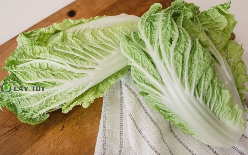 Hạt Giống Cải Thảo Hàn Quốc