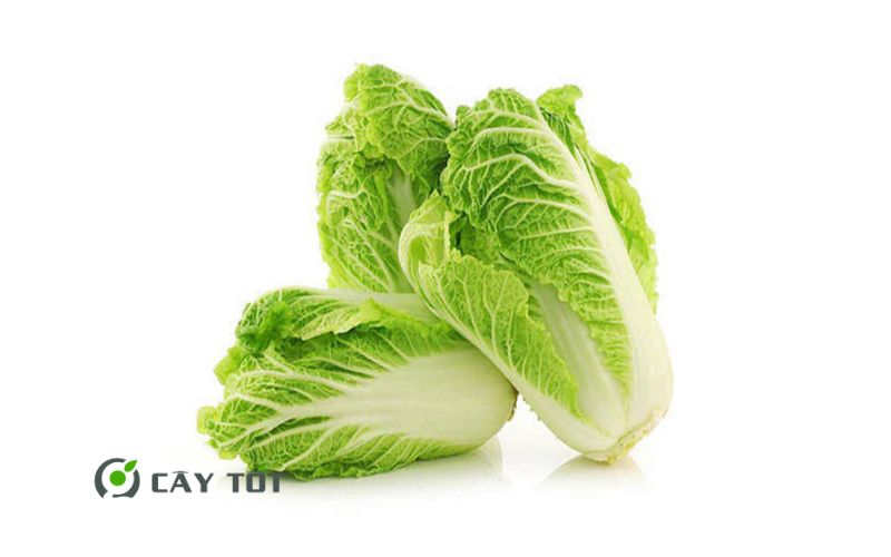 Hạt Giống Cải Thảo Chịu Nhiệt