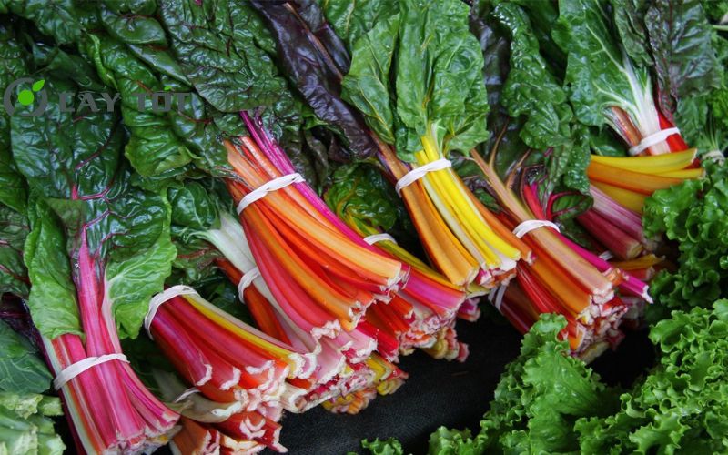 Hạt Giống Cải Cầu Vồng Tím