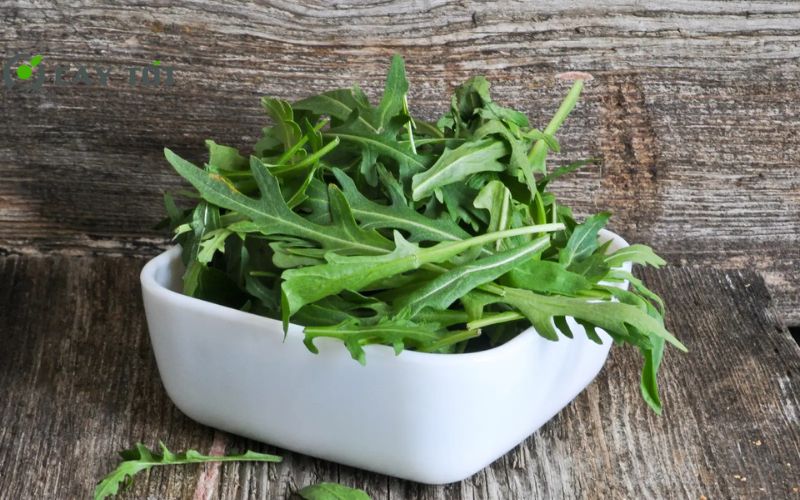 Hạt Giống Rau Cải Lông