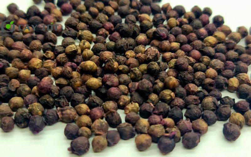 Hạt Giống Rau Cải Bẹ Nhật