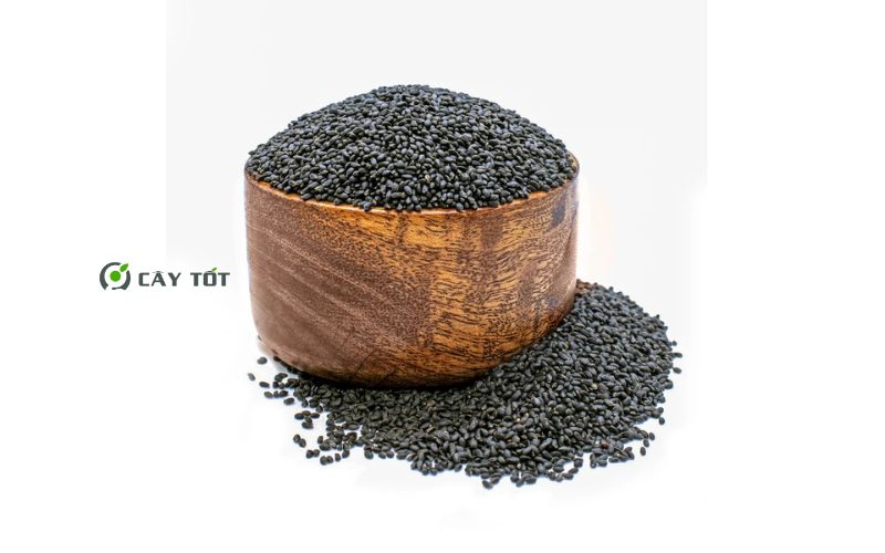 Hạt Giống Rau Càng Tôm Đỏ