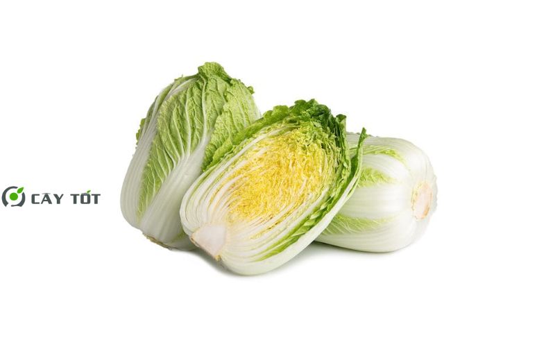 Hạt Giống Cải Thảo Hàn Quốc