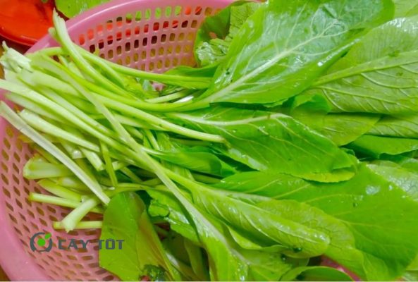 Hạt Giống Rau Cải Bẹ Nhật