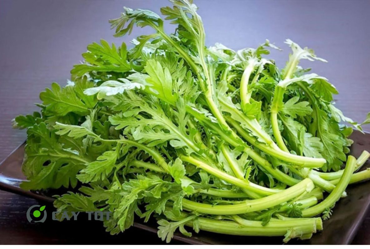 Hạt Giống Cải Cúc Thái